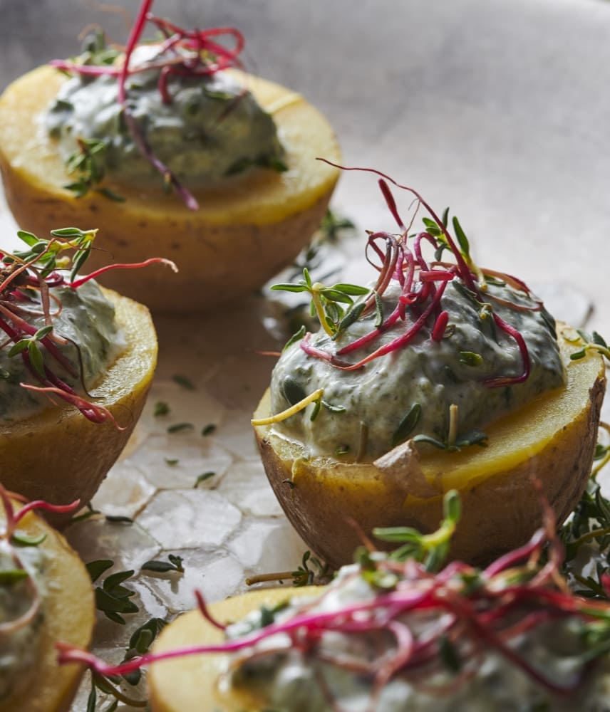 Close-up of halved cooked potatoes topped with creamy yogurt sauce and garnished with fresh herbs and red microgreens on a textured white surface.